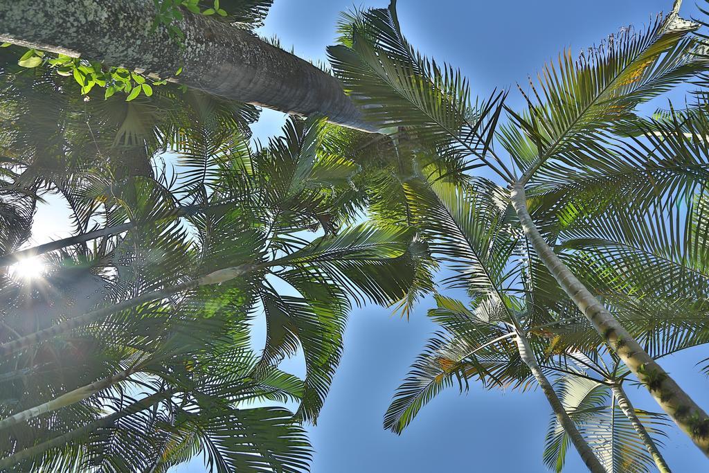 Casa Nostra Boutique Hotel Paraty Luaran gambar